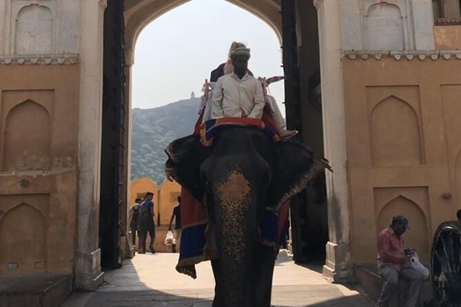 From Delhi: Private Jaipur Tour by Car - All Inclusive - Pickup and Drop-off Options