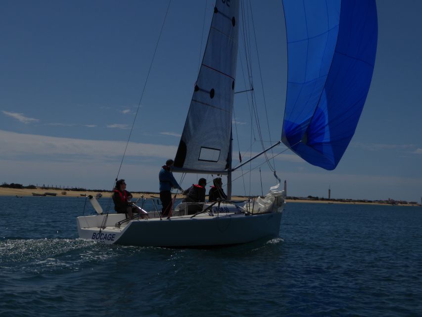 From Faro: Private Ria Formosa Sailing Trip - Spotting Rare Wildlife Species