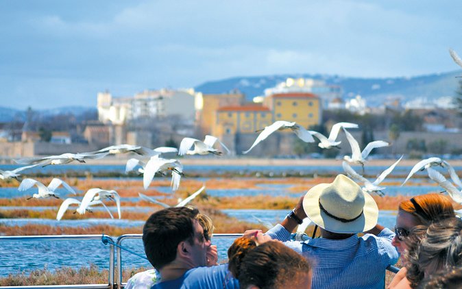 From Faro: Ria Formosa Eco Tour Guided by Marine Biologist - Meeting and Pickup