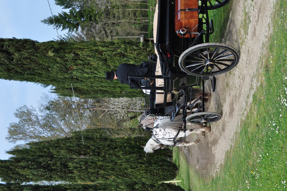 From Florence: Carriage Ride in Chianti Hills With Lunch - Inclusions Overview