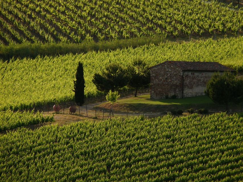 From Florence: Chianti Wine Tastings at Sunset Day Trip - Explore Tuscany at Sunset