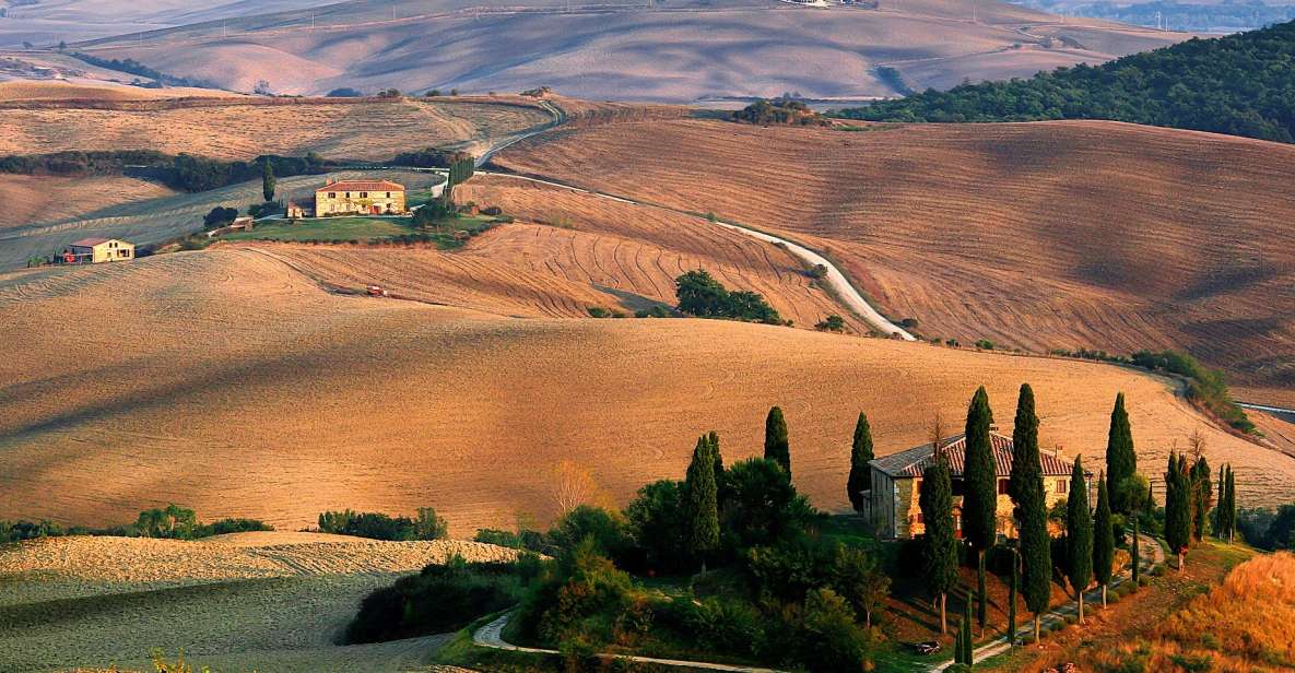 From Florence: Val D'orcia Full-Day Wine Tasting Tour - Montepulciano Visit