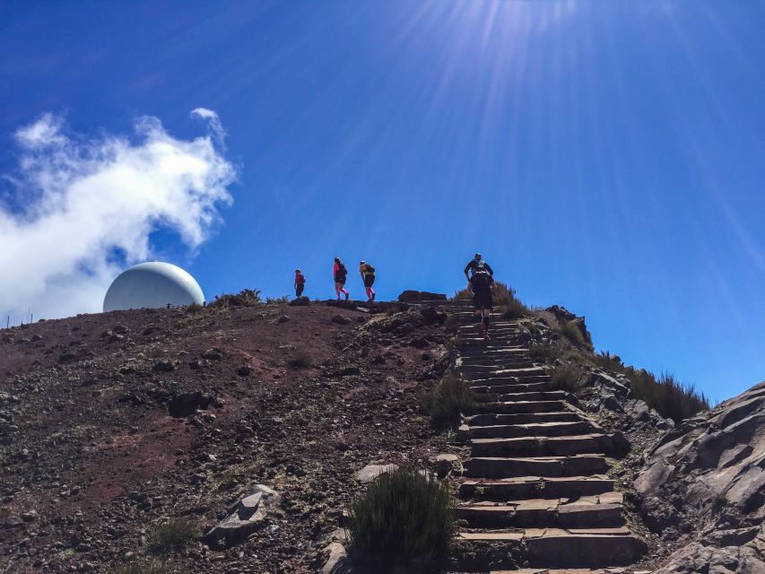 From Funchal: The Peaks Quest Running Tour (Moderate-Hard) - Inclusions and Exclusions