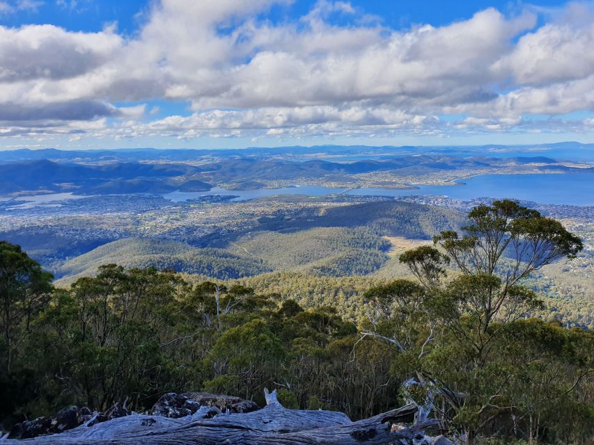 From Hobart: Mt Wellington Morning Walking Tour - Experience