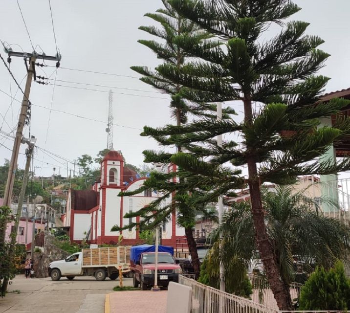 From Huatulco: Coffee Private Experience - Coffee-Making Process