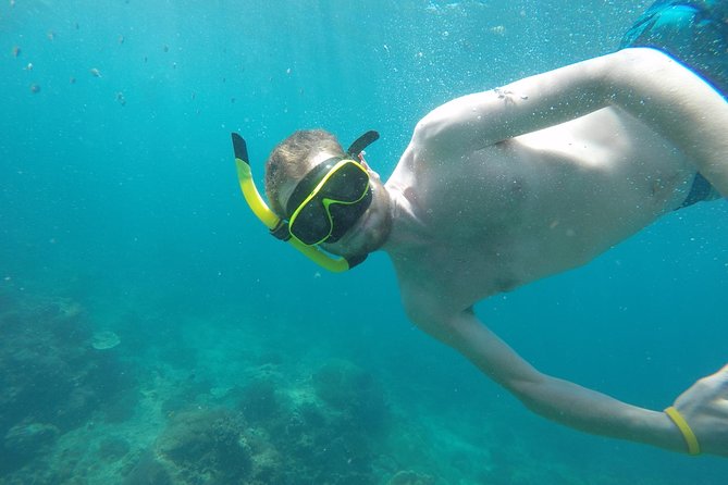 From Khao Lak or Khok Kloi: Phi Phi Islands Adventure Day Trip With Lunch - Additional Considerations