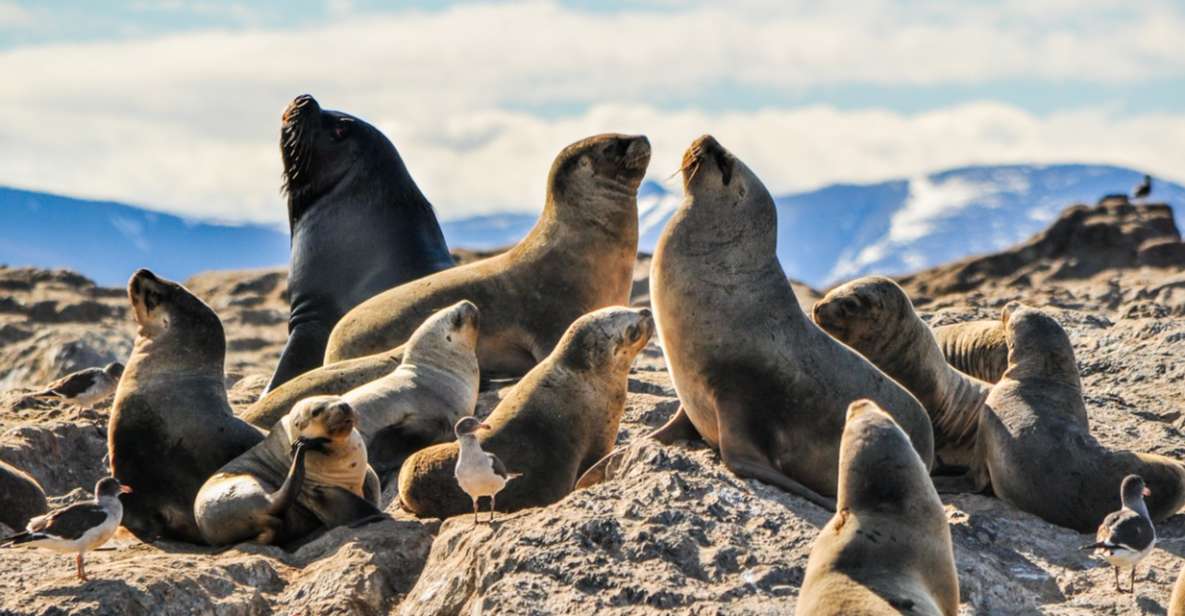 From La Paz: Swim With Sea Lions & Espíritu Santo Boat Tour - Discovering Espiritu Santo Island