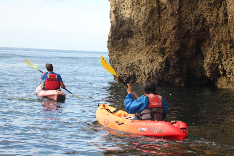 From Lagos: Algarve Coast and Caves by Kayak - Experience Highlights