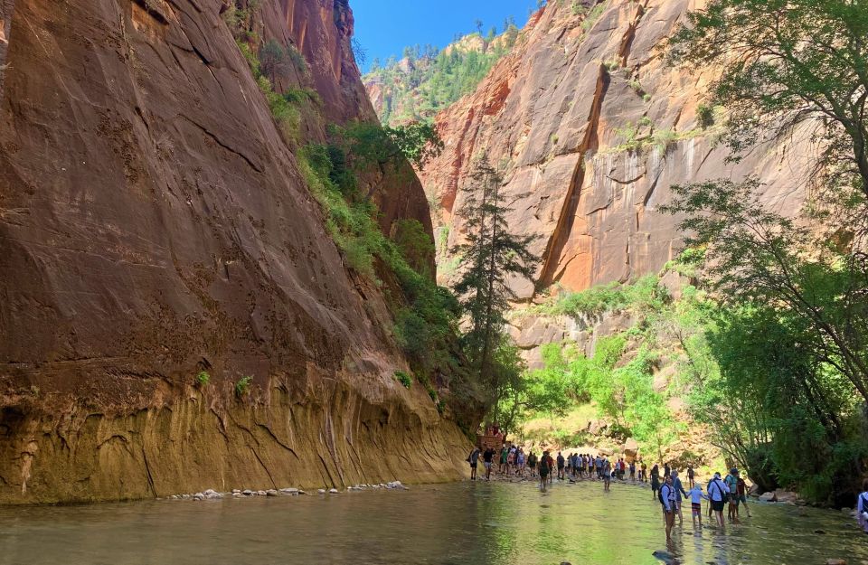 From Las Vegas: Zion National Park Small Group Adventure - Park Exploration