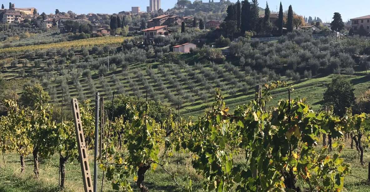 From Livorno: Shore Excursion to Chianti and San Gimignano - Inclusions