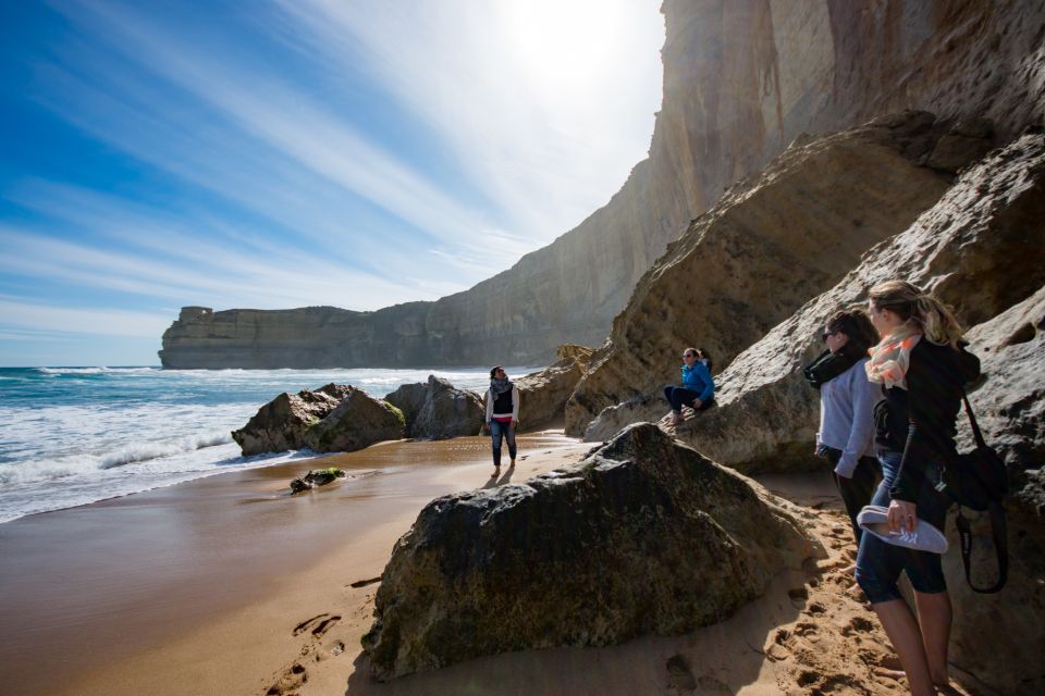 From Melbourne: Great Ocean Road Reverse Eco Tour - Reviews