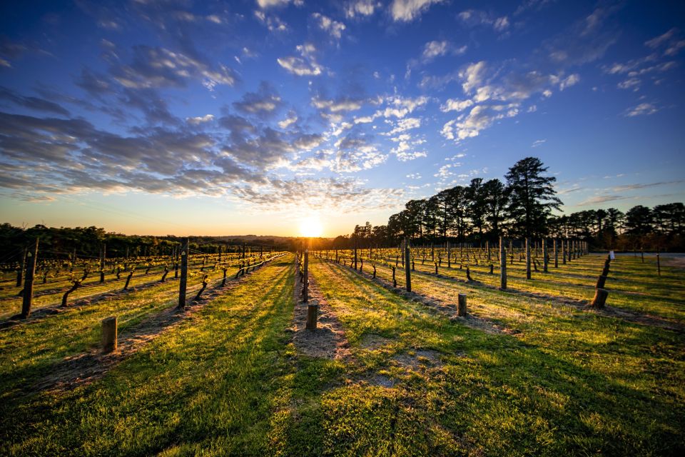 From Melbourne: Mornington Peninsula Food & Wine Taste Trail - Tour Itinerary