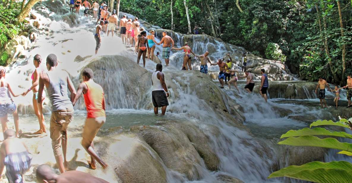 From Montego Bay: Dunn's River Falls Experience - Whats Included in the Experience