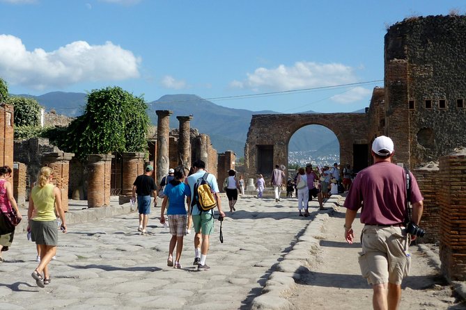 From Naples: Pompeii Shared Tour With Guide and Tickets Included - Cruise Ship Passenger Information