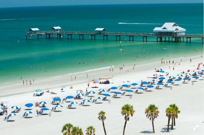 From Orlando: Clearwater Beach and Marine Aquarium Admission - See Marine Life