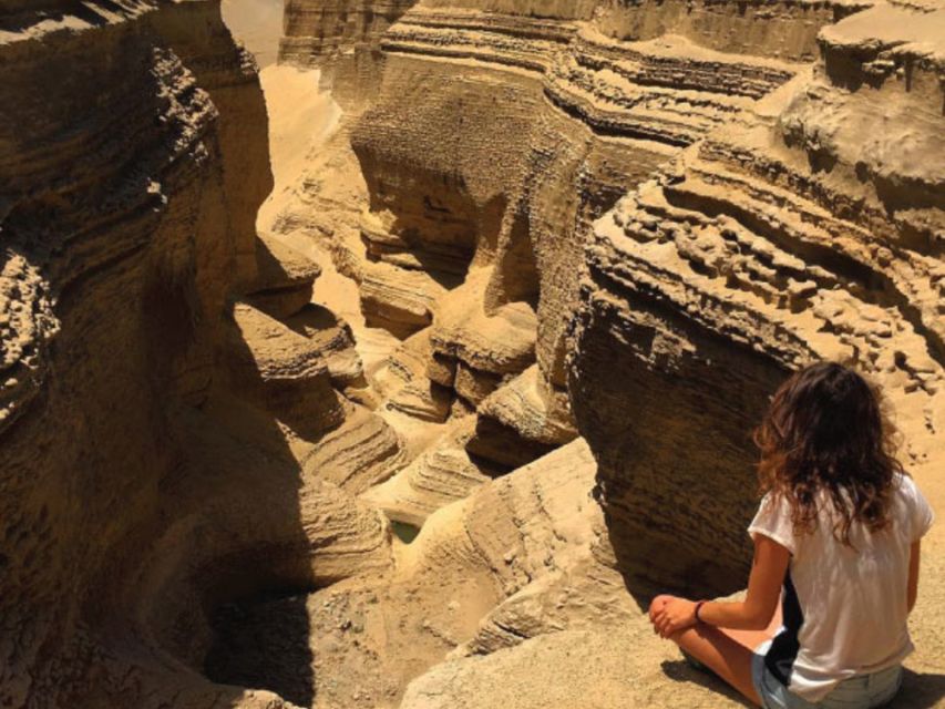 From Paracas/Ica: Canyon of the Lost Guided Day Trip - Activity Details and Itinerary