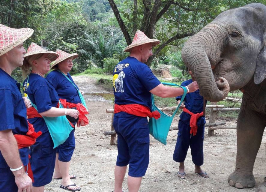 From Phuket & Khao Lak: Elephant Care With Waterfall Visit - Inclusions and Exclusions