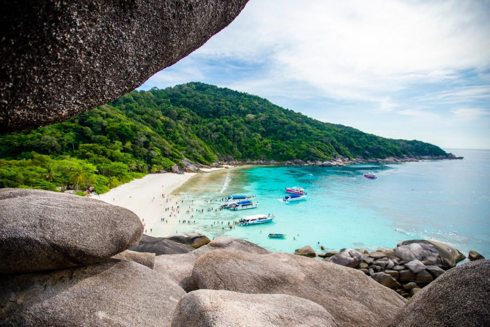 From Phuket: Similan Islands Luxury Trip by Speed Catamaran - Activities and Experiences