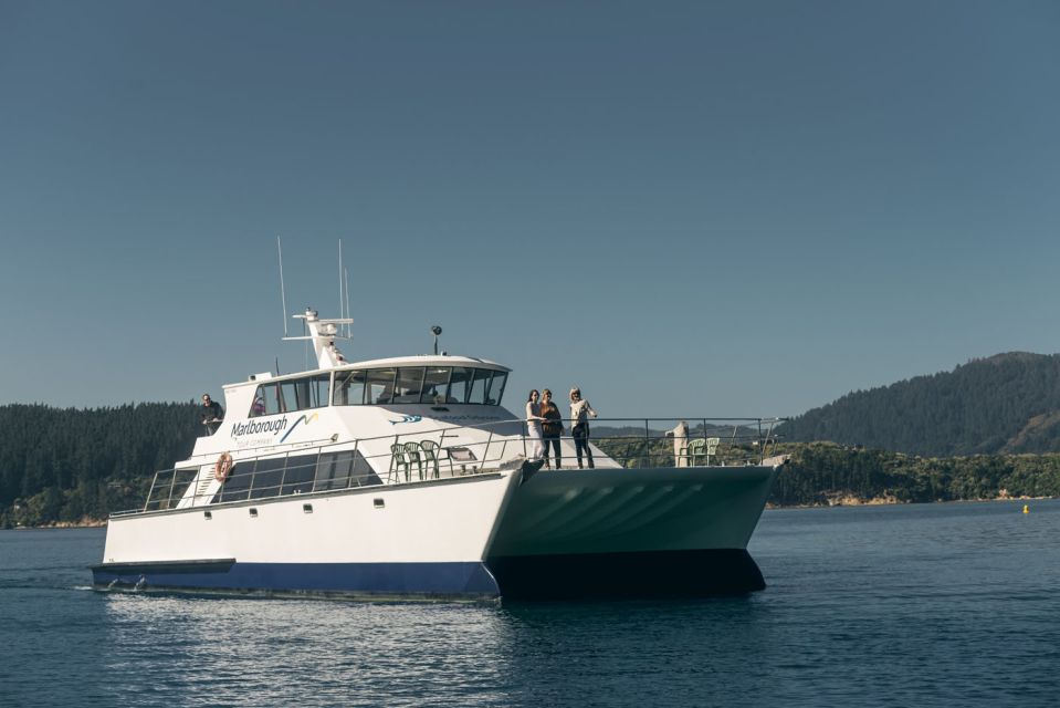 From Picton: Marlborough Sounds Cruise With Seafood - Booking Information