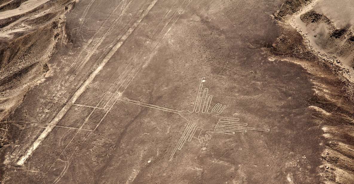 From Pisco or Paracas: Nazca Lines Flight - Nazca Lines Aerial Viewing