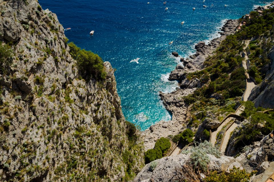 From Pompeii/Castellammare/Vico Equense: Capri Day Cruise - Highlights