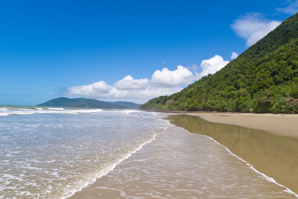 From Port Douglas: Daintree and Mossman Gorge Day Tour - Customer Reviews