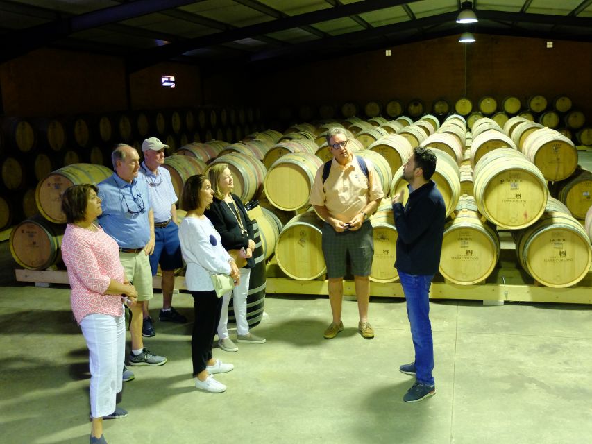 From Porto: Douro Region Private Food and Wine Day Tour - Tour Activities