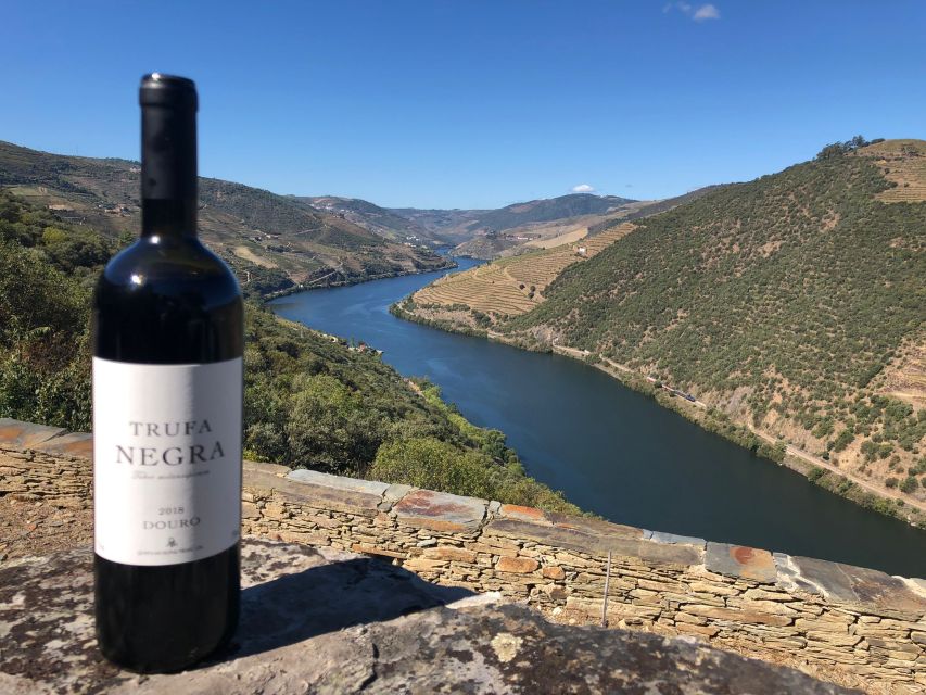 From Porto: Private Douro Valley Tour and Boat Cruise - Tour Description