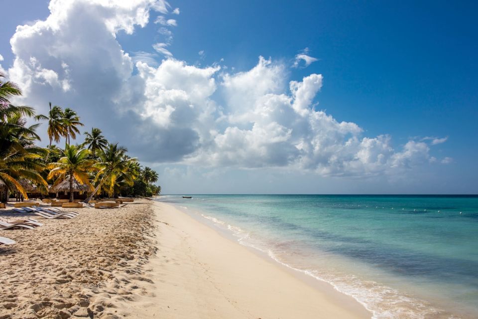 From Punta Cana: Saona Island Cruise With Private Beach - Restrictions and Considerations