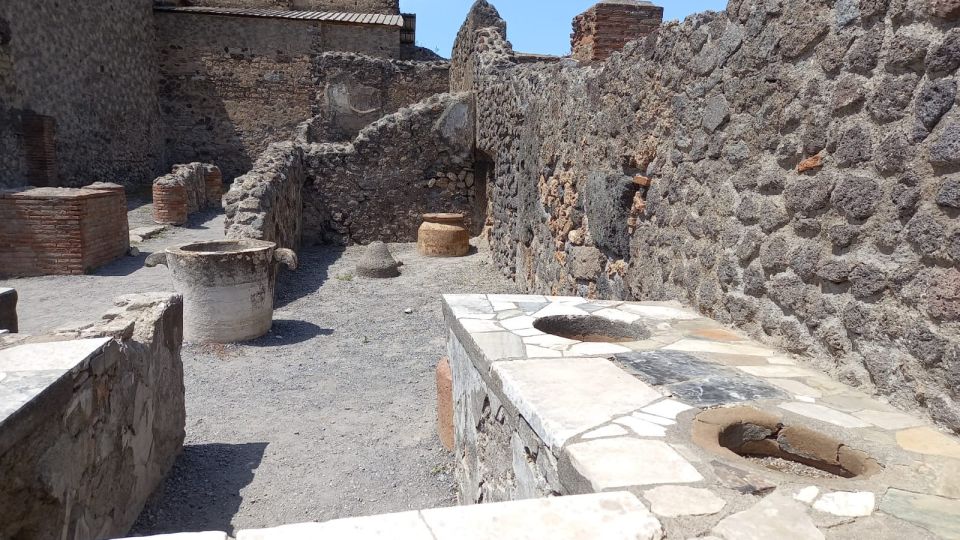 From Rome: Round-Trip Transfer to Pompeii and Its Ruins - Inclusions