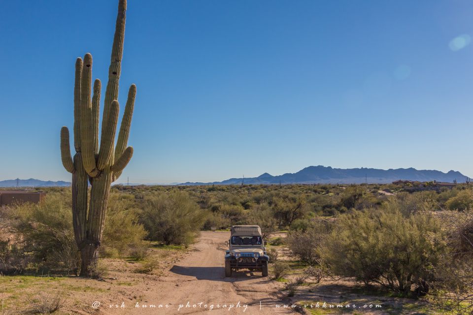 From Scottsdale: Sonoran Desert & Tonto National Forest Trip - What to Expect