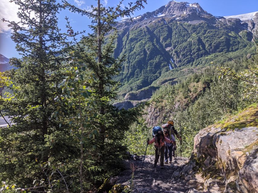 From Seward: 4-hour Wilderness Hiking Tour - Breathtaking Scenic Views