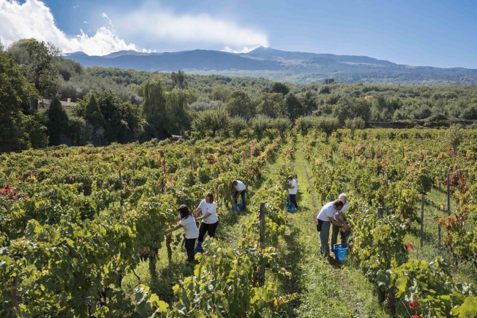 From Siracusa Day Tour To Etna Volcano, Winery and Taormina - Inclusions