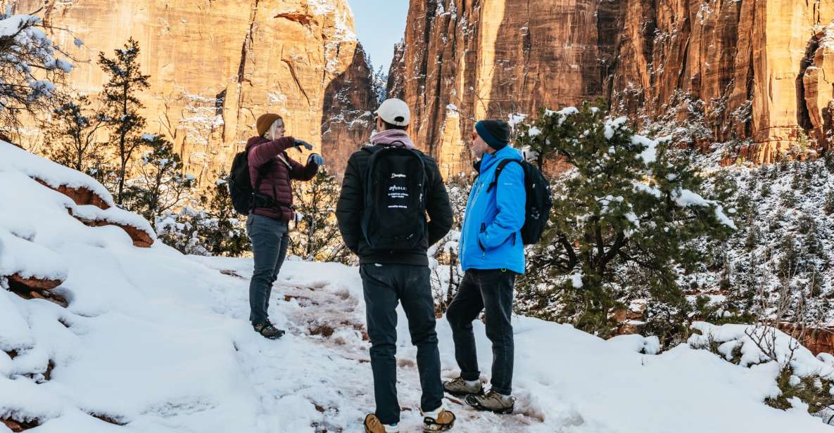 From Springdale: 4-hour Zion Canyon Scenic Hiking Tour - Highlights of the Hiking Tour