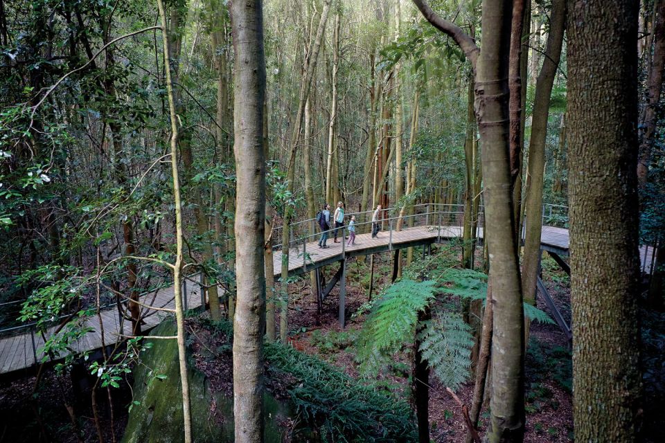 From Sydney: Blue Mountains, Scenic World, Zoo, & Ferry Tour - Itinerary