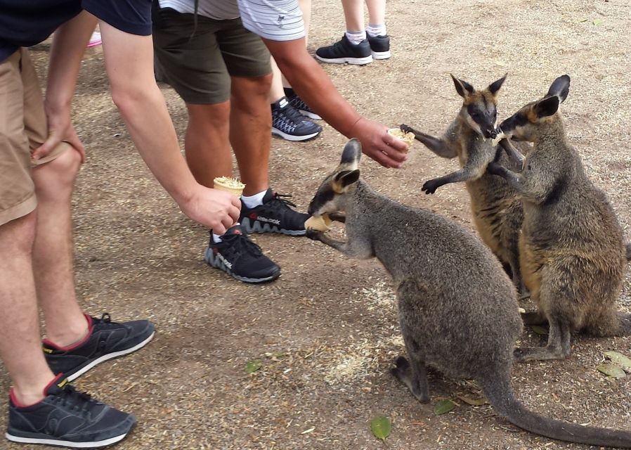 From Sydney: Boutique Uncharted Blue Mountains Tour - Customer Reviews