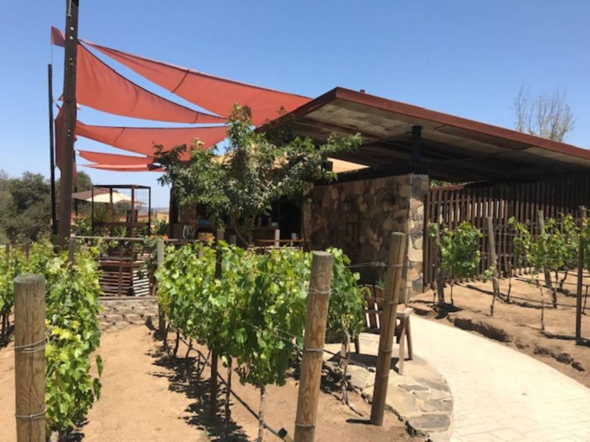 From Tijuana: Valle De Guadalupe Private Winery Tour - Winery Highlights