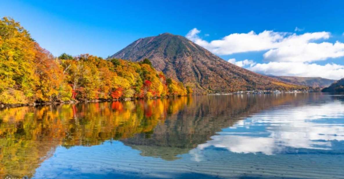 From Tokyo: Nikko UNESCO Shrine and Nature View 1-Day Tour - Visiting Nikko Toshogu Shrine