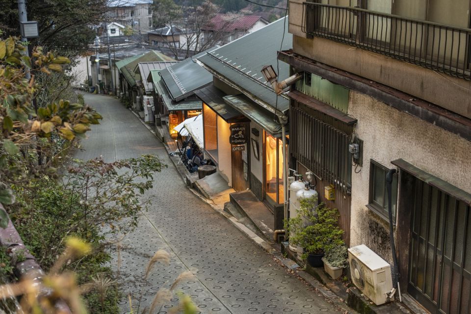 From Tokyo: Private Scenic Day Trip to Hakone - Ride the Hakone Ropeway