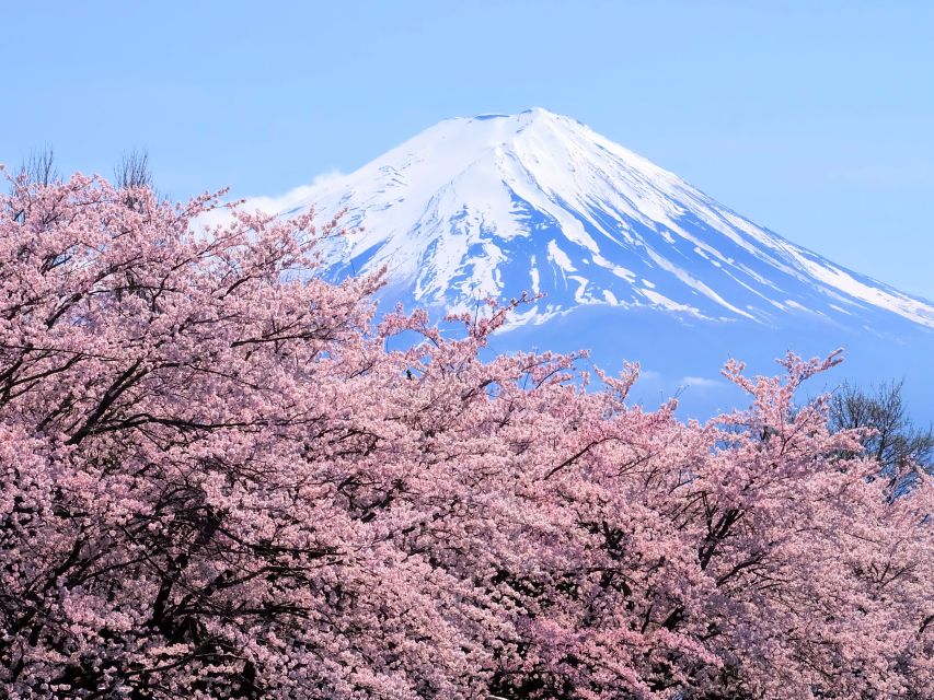 From Tokyo to Mount Fuji: Full-Day Tour and Hakone Cruise - Departure Locations