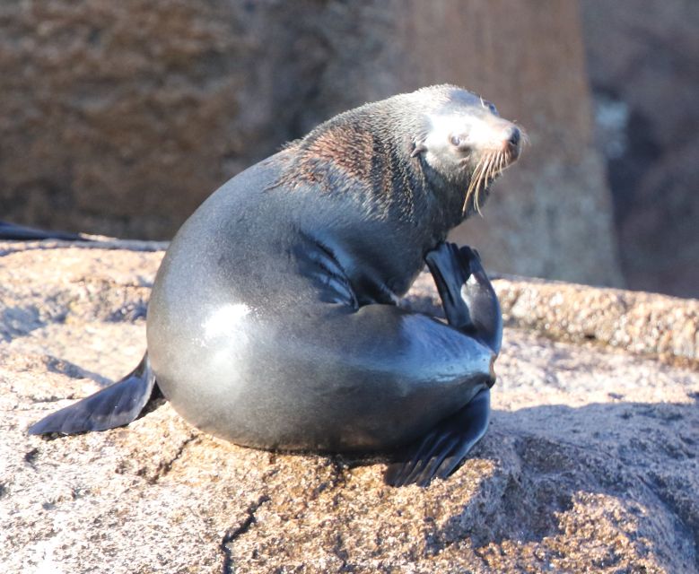 From Triabunna: Maria Island Cruise & Guided Walk With Lunch - Experience Description