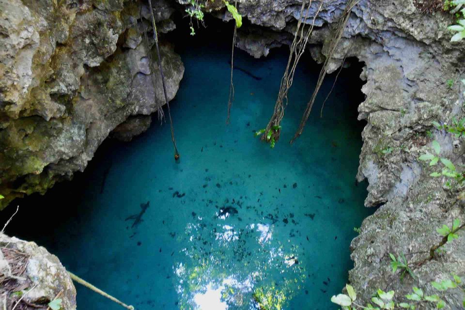 From Tulum: Temazcal & Cenote Private Experience - Temazcal Ceremony Details