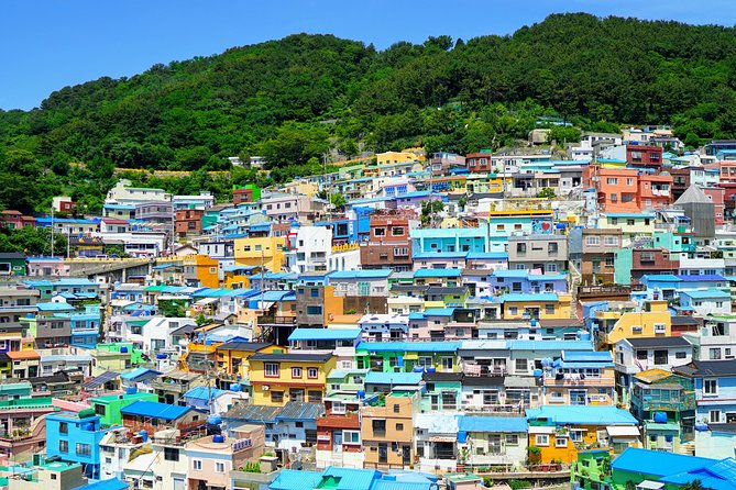 Full-Day Customizable Private Busan Highlight Tour - Guide Services