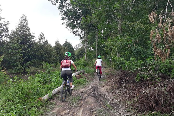 Full Day Experience Mekong Delta By Bike, Boat and Kayak. - Encountering Local Life on the Delta