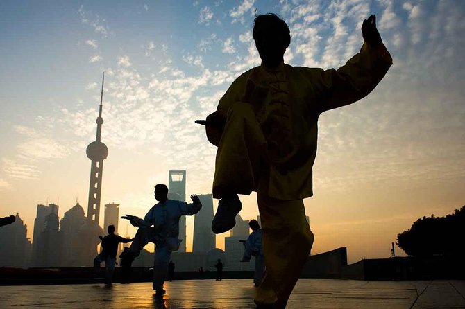 Full-Day Private Guided Tour of Shanghai - Accessibility and Flexibility