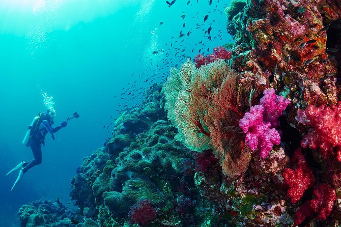 Full-Day Racha Yai Private Scuba Diving Course From Phuket - Age and Participant Restrictions