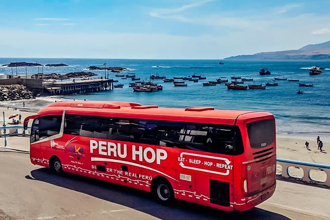 Full Day Tour From Lima: Ballestas Islands and Paracas Reserve - Tour Inclusives and Comfort