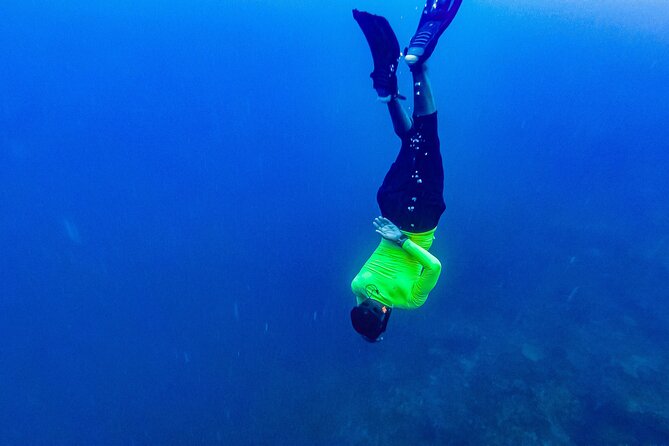 Full Day Tour of 5 Must-See Places in the Rosario Islands - Inclusions and Costs