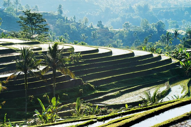 Full-Day Tour to Water Temples and UNESCO Rice Terraces in Bali - Ascent to Luhur Batukaru Temple on the Volcano