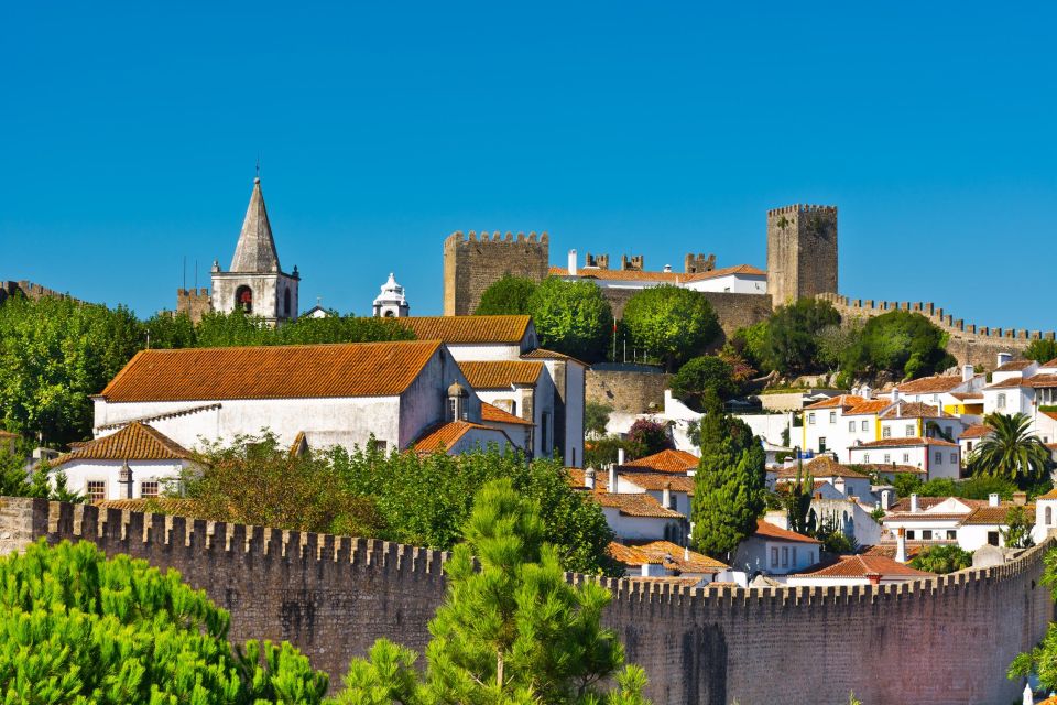 Full Day Tour - Transfer to Porto From Lisbon With Stops - Tour Inclusions